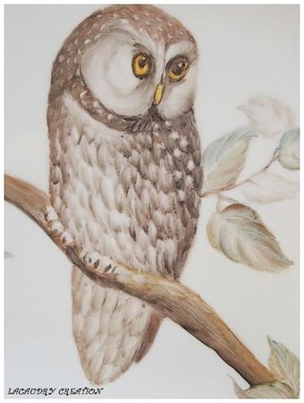 Peinture sur porcelaine , apres la chouette..... les plumes ma chouette