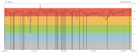 296ème sortie - Courbe Polar 296ème sortie – Nocturne en forêt