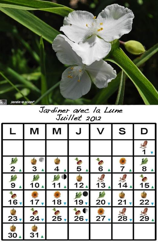 Jardiner-avec-la-lune-Juillet-2012