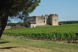Les Sauternes 2009 à l'Union des Grands Crus de Bordeaux 200907-427