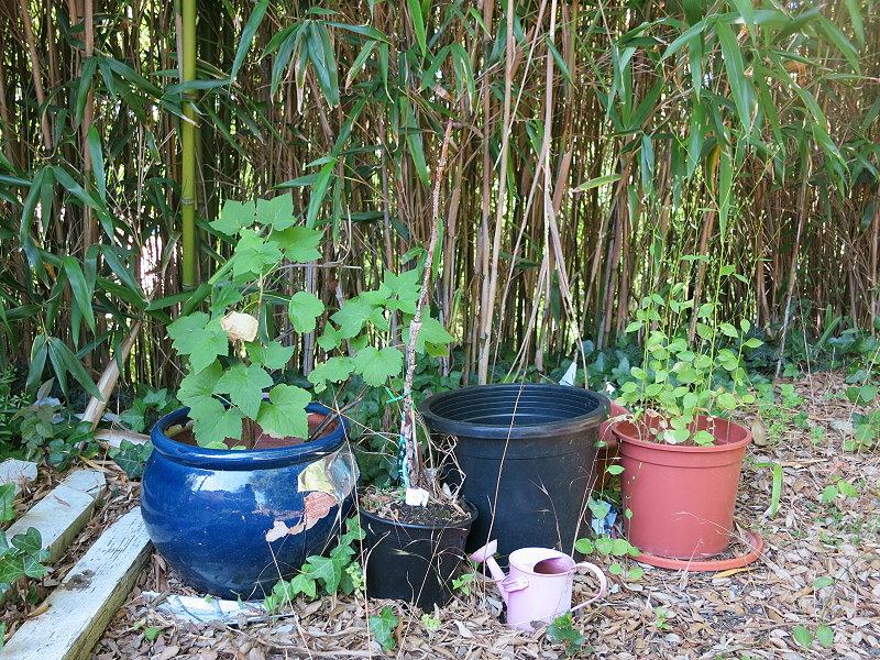 Welcome to my home, Emma Price! (3) Welcome to my home :: Emma Price!