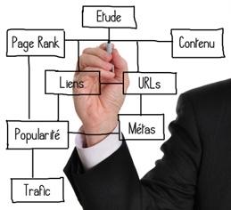 netlinking professionnel