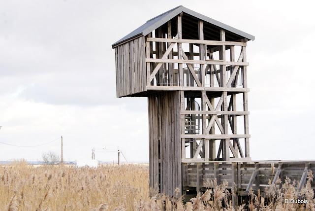 L' Observatoire Tadashi Kawamata / Voyage a Nantes /Lavau