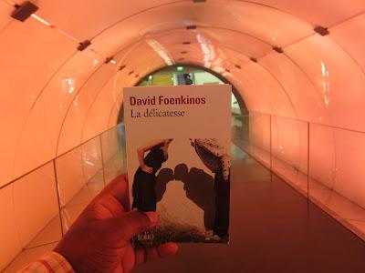 David Foenkinos : La délicatesse