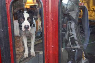Vivre dans un bus Vivre dans un bus
