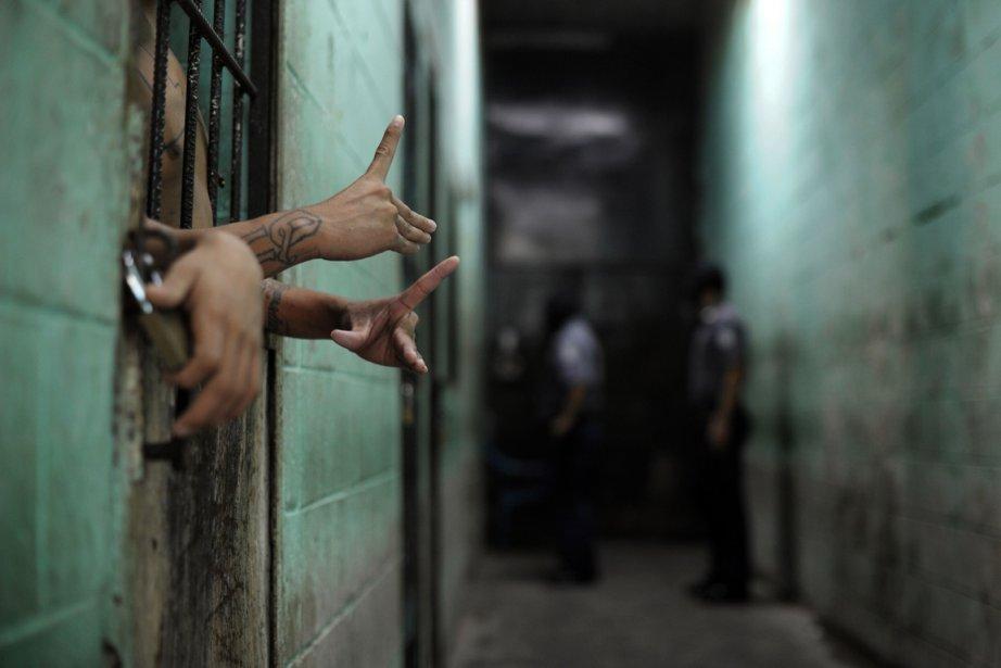 Ouvrez les verrous et obtenez de la nourriture gratuite Ouvrez les verrous et obtenez de la nourriture gratuite