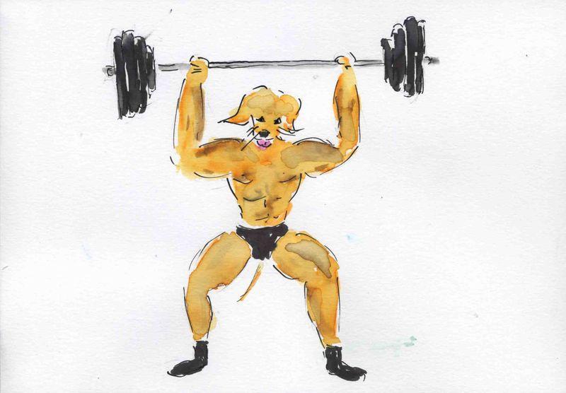 120) reins solides 120) reins solides