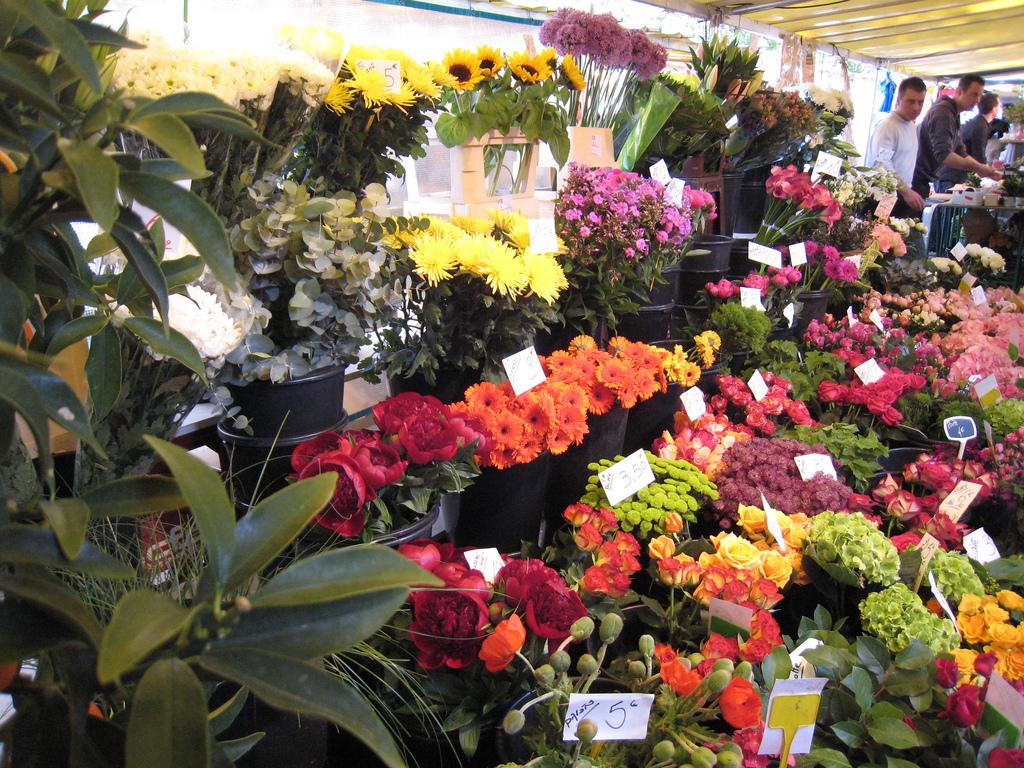 Marché-aux-fleurs-et-aux-oiseaux Paris Les 10 Meilleurs Marchés de Paris