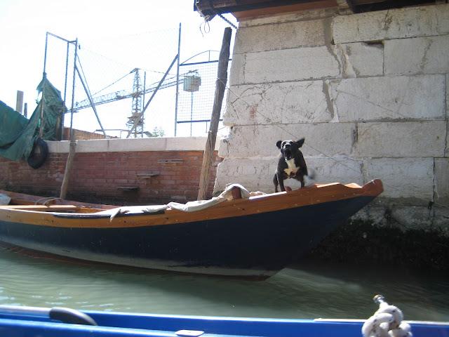 Rio del Ponte Piccolo e rio di Sant'Eufemia Rio del Ponte Piccolo e rio di Sant'Eufemia
