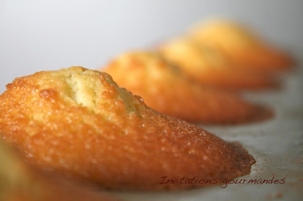 IMG_5513 MADELEINES CITRON ET HUILE D’OLIVE