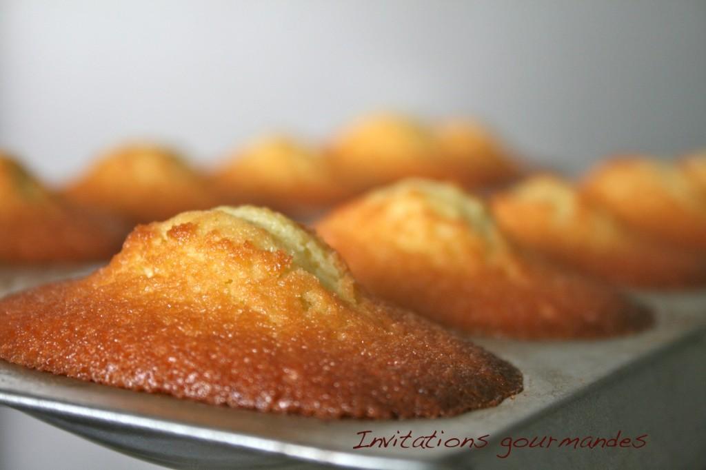 IMG_5510 MADELEINES CITRON ET HUILE D’OLIVE