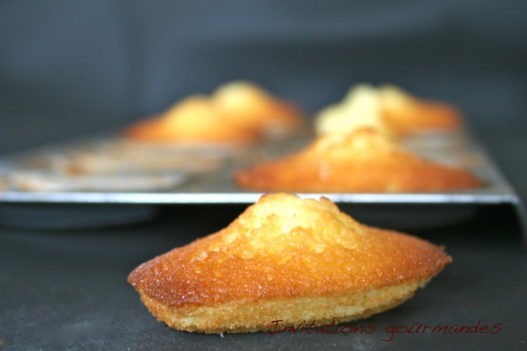 IMG_5525 MADELEINES CITRON ET HUILE D’OLIVE