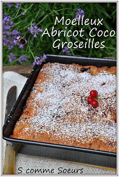 Moelleux aux Abricots, groseilles et noix de coco Desserts-2012 0247