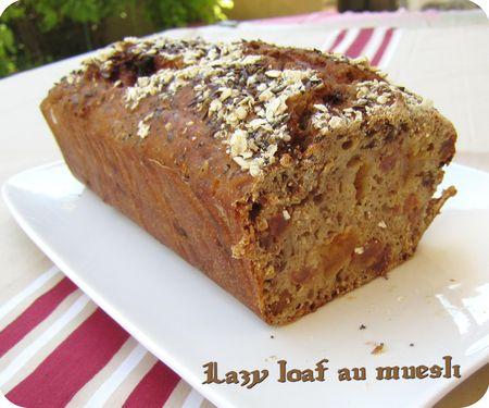 lazy loaf muesli (scrap)