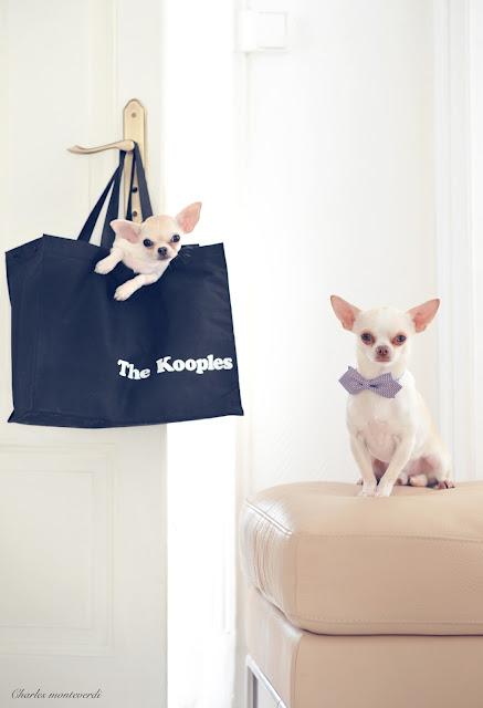 The Kooples _Florentin & Gaiea en couple depuis... The Kooples _Florentin & Gaiea en couple depuis...
