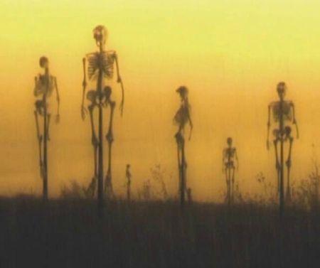 Visions of Suffering 5