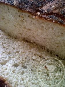 mini-IMG-20120508-02212 Pain sans pétrissage en cocotte