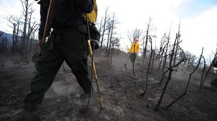 Feu de forêt 350 résidences réduites en cendres à Colorado Springs