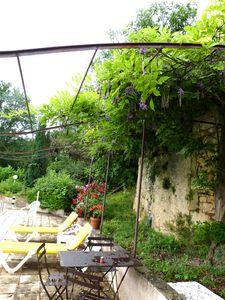 Un été à champignons P1060551