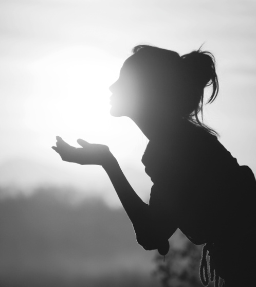 Promesse-de-laube Promesse-de-laube