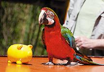 Le zoo d'Amneville (Le tour de France des poussettes #1) Le zoo d'Amneville (Le tour de France des poussettes #1)