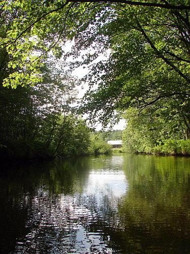 Rivière aux cerises DSC00003-copie-2