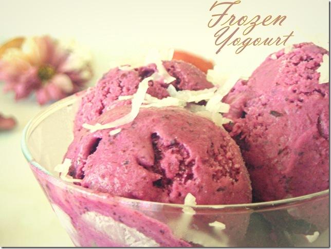 frozen_yogourt_blueberries