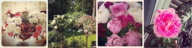 UNE VIE SOUS INSTAGRAM # 4 UNE VIE SOUS INSTAGRAM # 4