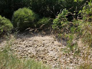 Les gorges de la Buèges