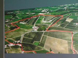 Visite-dégustation au Château Mangot (Saint Emilion) : fin divers du 29 juin 2012 032