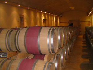 Visite-dégustation au Château Mangot (Saint Emilion) : fin divers du 29 juin 2012 044