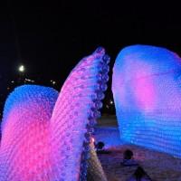 Les poissons de Botafogo illuminés Les poissons de Botafogo illuminés