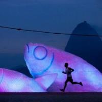 Les poissons de Botafogo la nuit Les poissons de Botafogo la nuit