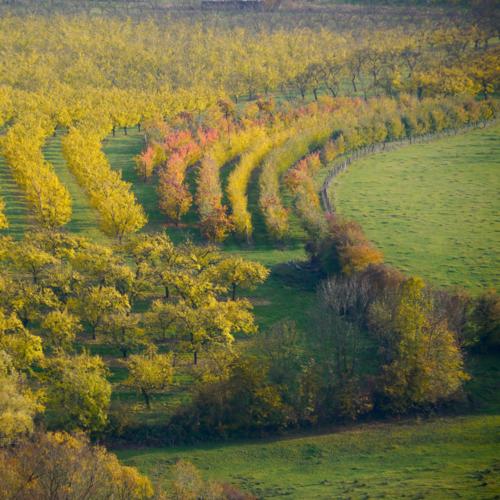 Le Tour de France en Lorraine les 6 & 7 juillet 2012 ! Le Tour de France en Lorraine les 6 & 7 juillet 2012 !