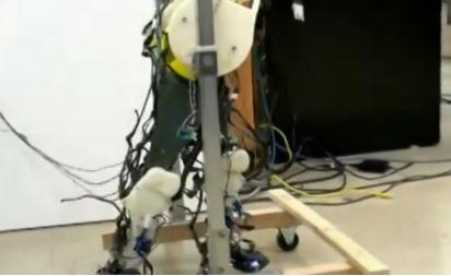 Des jambes de robots très humaines