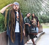 Positiv Young Lion : Les Lions indomptables du Reggae Français ! 