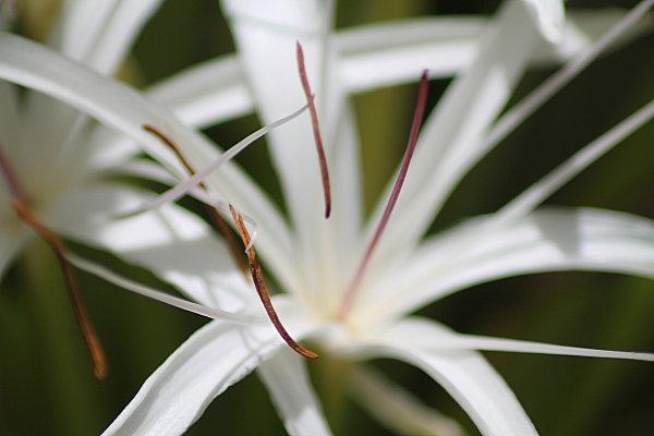 Deck chez Tival tival-3947.JPG