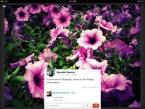 Google+ disponible sur iPad Google+ disponible sur iPad