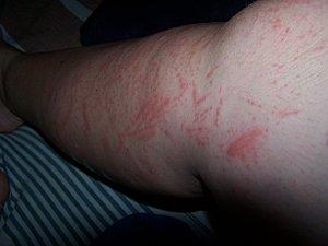 SRI LANKA : LES PETITES ET LES GROSSES BEBÊTES ! SRI-LANKA-2-070.JPG