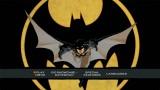 Test DVD: Batman Year One