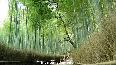 Arashiyama: macaques japonais, bambouseraie et le pont Togetsukyo