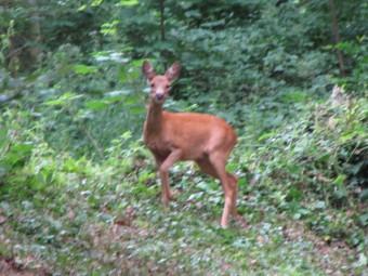 Une promesse est une promesse 120712 Une promesse est une promesse.jpg