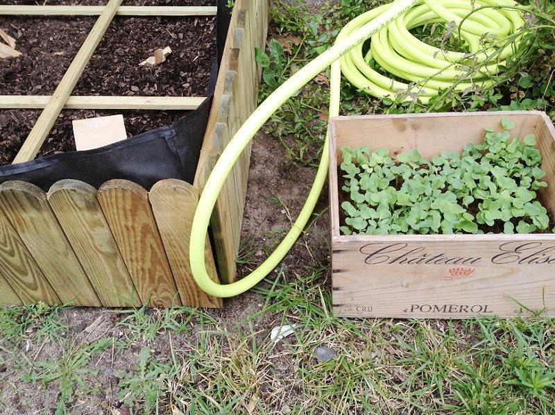 DIY Vegetable Garden!