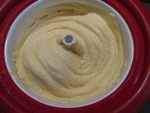 Mystère glacé au caramel au beurre salé et coeur à la vanille 77000987_p