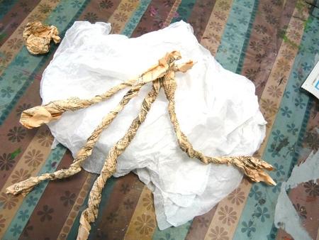 Brico Kids : Oiseaux de plâtre bande de plâtre les pattes