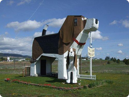 Dog Bark Inn- Un bed & breakfast dans un chien !