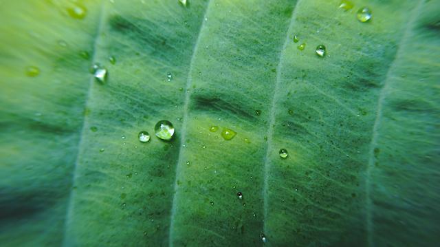 LA PHOTO DE LA SEMAINE #24 LA PHOTO DE LA SEMAINE #24