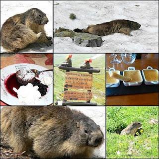 LA PHOTO DE LA SEMAINE #24 LA PHOTO DE LA SEMAINE #24