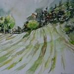 Prairie après la fauche 36 ième SketchCrawl