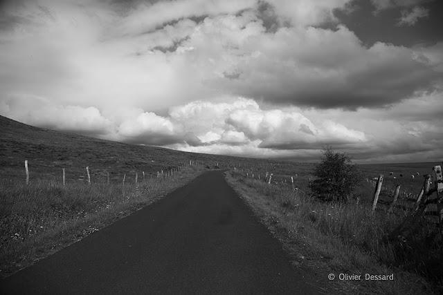 Comme une envie Comme une envie